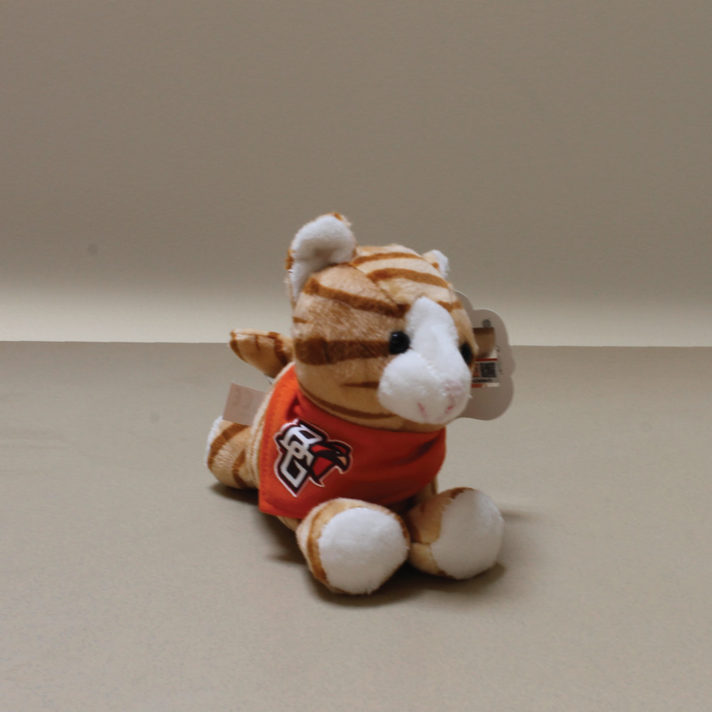 Tabby Cat with BGSU Bandana
