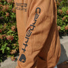 College House Bowling Green State University Carhartt Hoodie