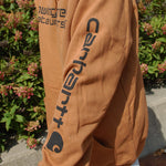 College House Bowling Green State University Carhartt Hoodie